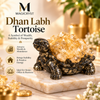 Dhan Labh Tortoise