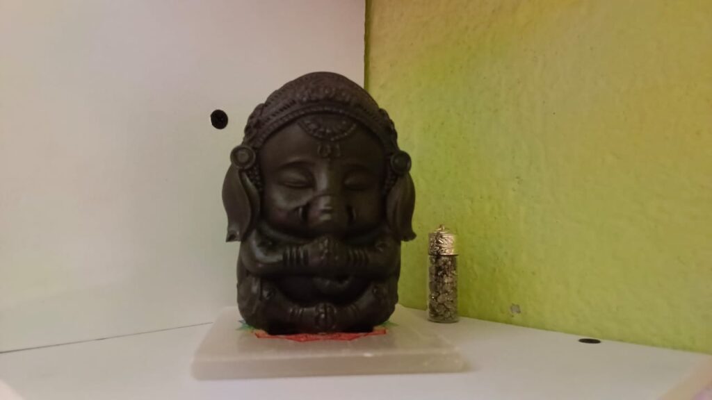 Image #1 from Pranjali Tiwari